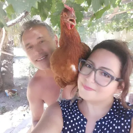 Kır Evi Trenasse *